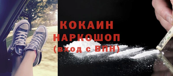 твердый Арсеньев