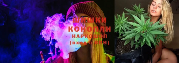 хмурый Аркадак