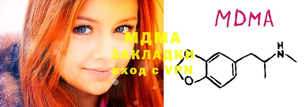 хмурый Аркадак