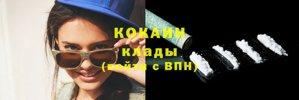 твердый Арсеньев
