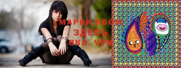 хмурый Аркадак