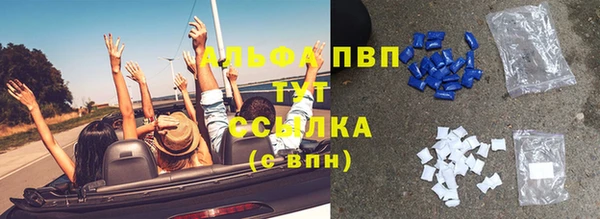 хмурый Аркадак