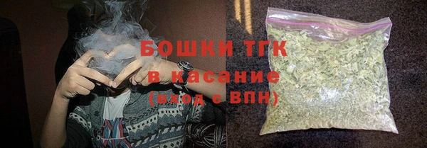 хмурый Аркадак