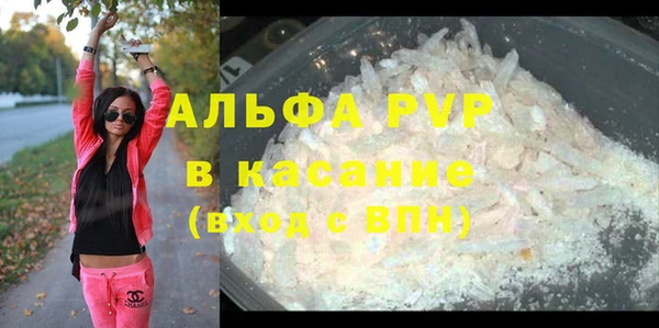 твердый Арсеньев