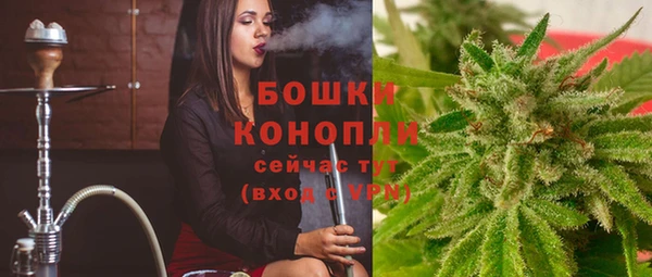 хмурый Аркадак