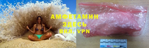 твердый Арсеньев