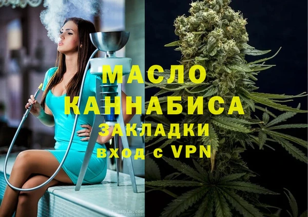хмурый Аркадак