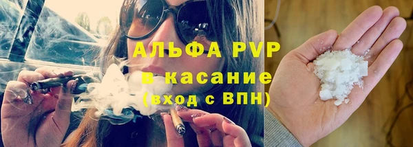 твердый Арсеньев
