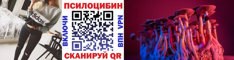 Галлюциногенные грибы мицелий  магазин    Сураж 
